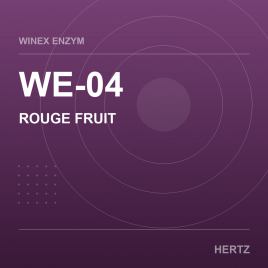 WE-04 ROUGE FRUIT